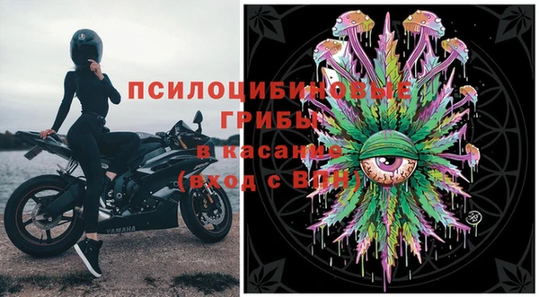 гидра Вяземский