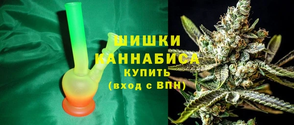 гидра Вяземский
