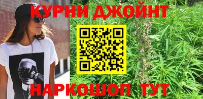 твердый Будённовск