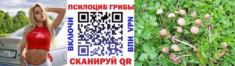 Галлюциногенные грибы ЛСД  ссылка на мегу зеркало  Мариинск  что такое  