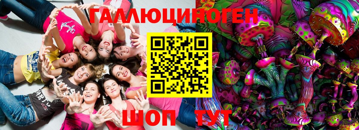 Псилоцибиновые грибы Psilocybine cubensis  Мариинск  Галлюциногенные грибы мухоморы 