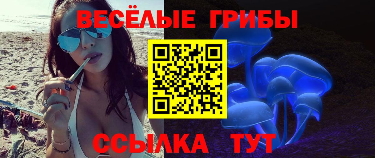 Псилоцибиновые грибы прущие грибы Мариинск