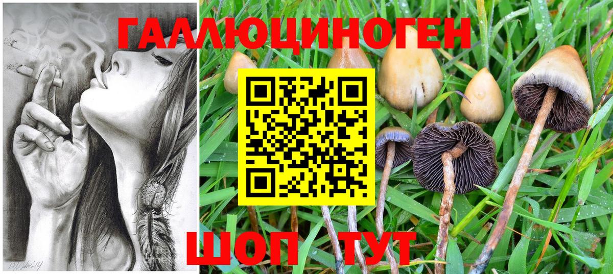 Мариинск  Галлюциногенные грибы ЛСД  Вход с VPN 